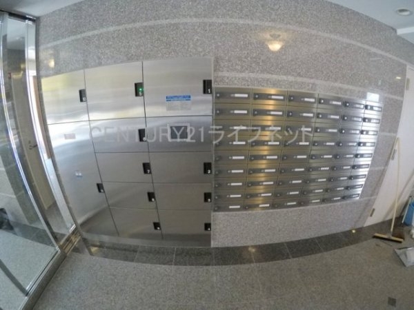 エクセレント上新20