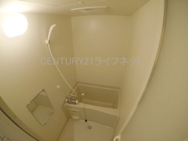 エクセレント上新20