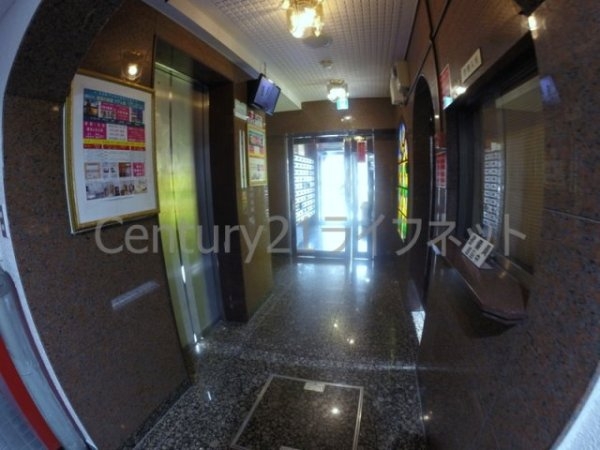 ルネッサンスエレガンス