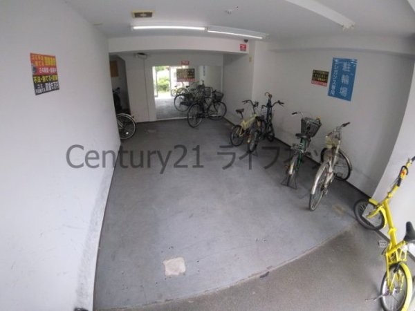 ルネッサンスエレガンス