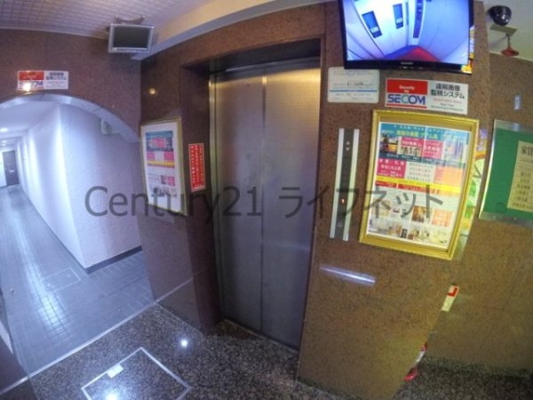 ルネッサンスエレガンス