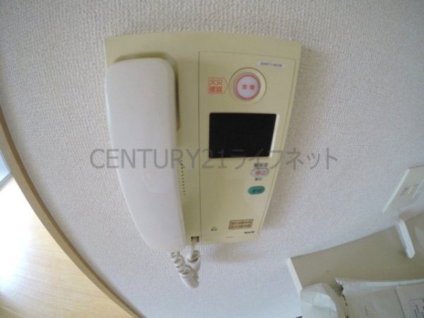 プロミネントコート