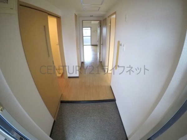 プロミネントコート