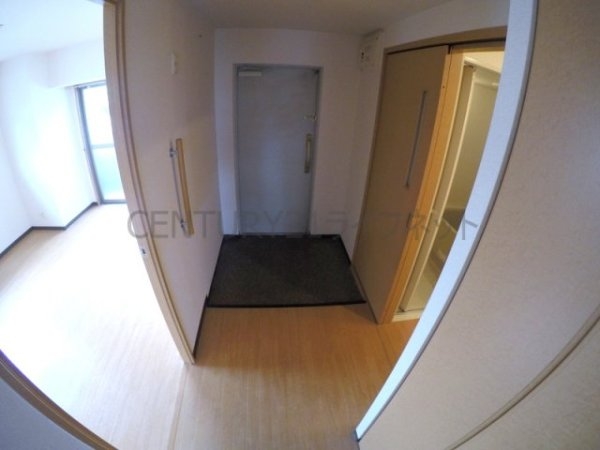 プロミネントコート