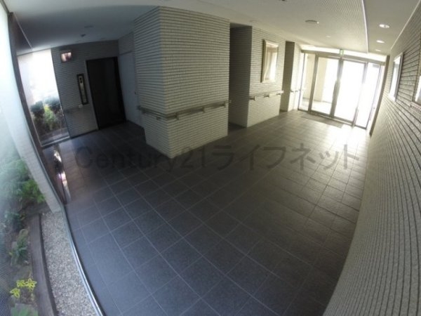 プロミネントコート