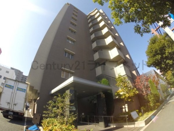 プロミネントコート