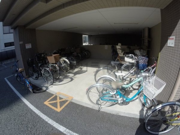 プロミネントコート