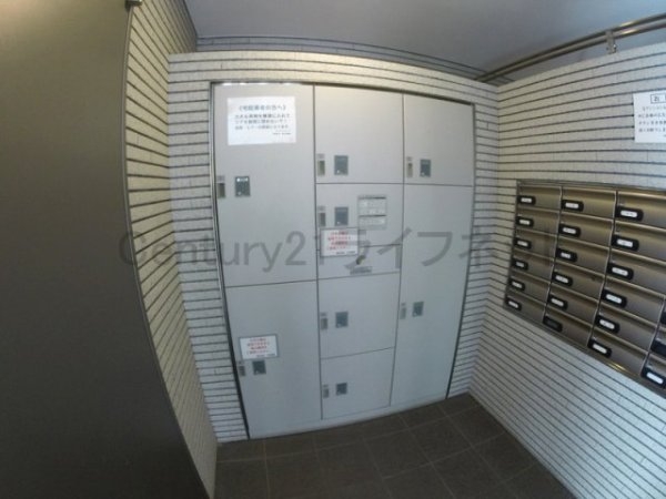 プロミネントコート