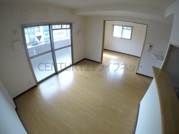 プロミネントコート