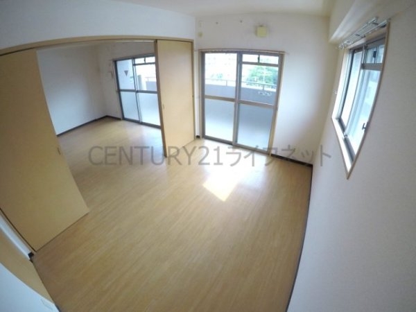 プロミネントコート