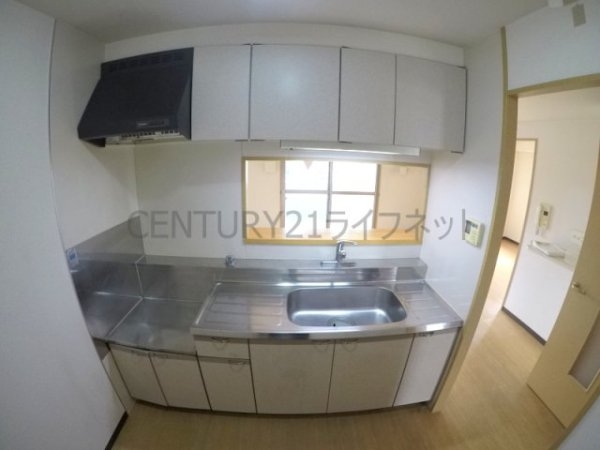 プロミネントコート