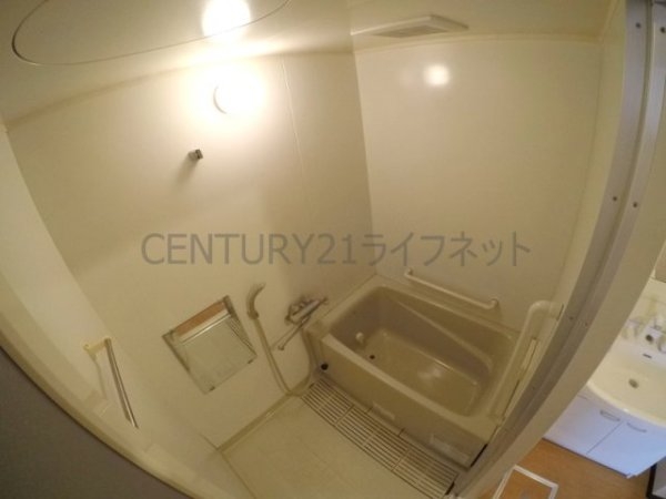 プロミネントコート