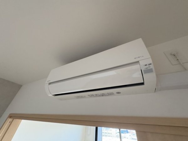 スプランディッド8