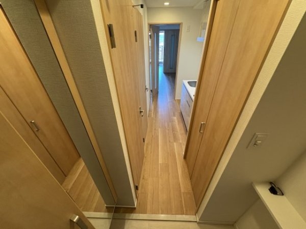 スプランディッド8