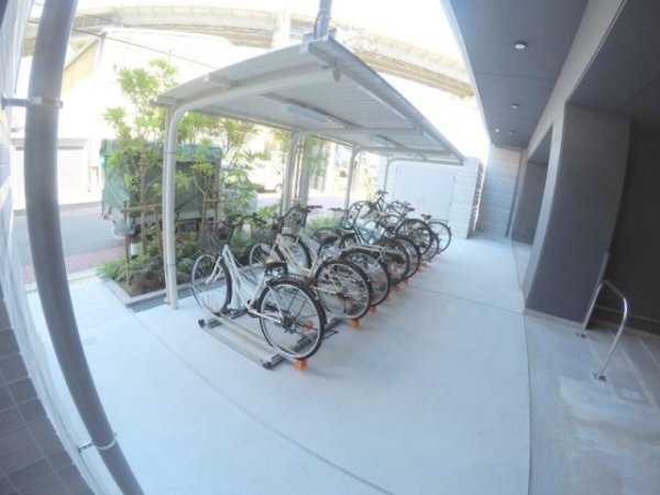 スプランディッド8