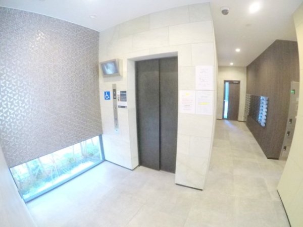 スプランディッド8