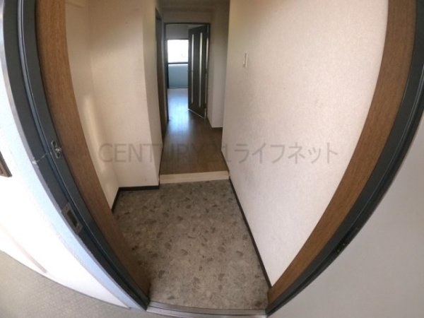 ミレニアム
