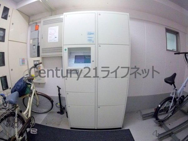 ウィンベル同心