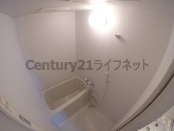 カスターニャ三国本町