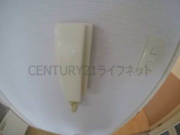 ディオサC・S