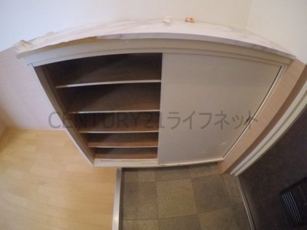 ディオサC・S