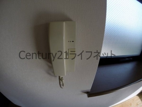 ヴェルドミール35