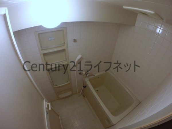 ヴェルドミール35