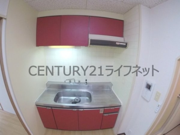 FMNakazaki1