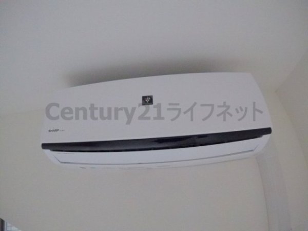 べラルーチェ十三