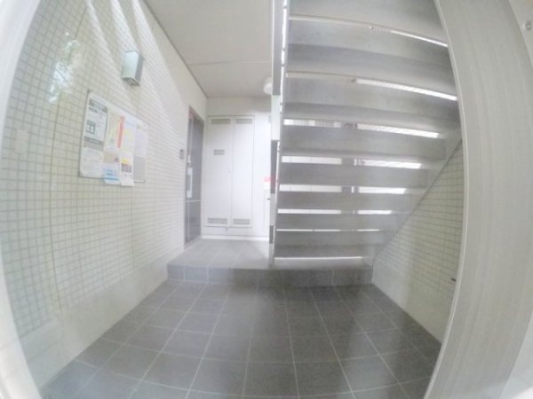 アマランスヒラノ
