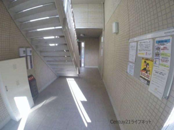 シャルムA