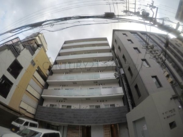 ACT DOORS天六