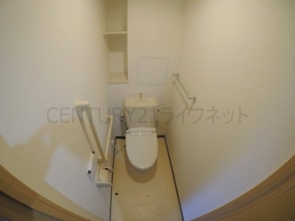 プロミネントコート