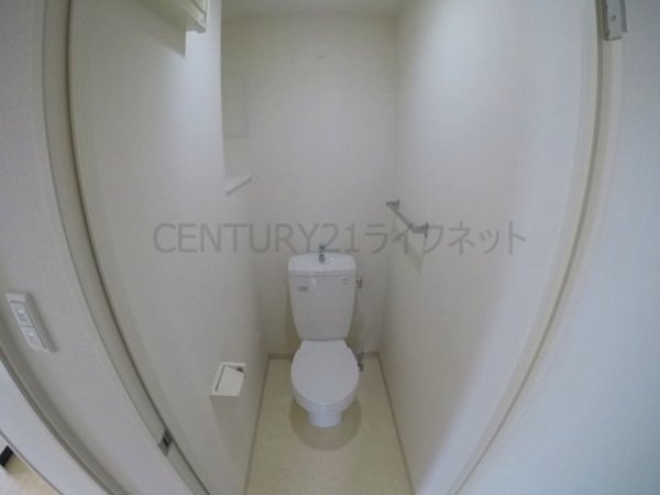 アルチコンテント新高