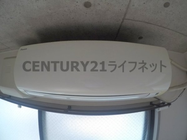 コートダルジャン2