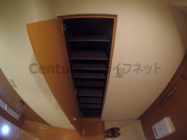 オーパス