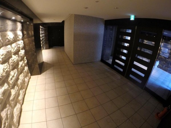 アドバンス新大阪６ビオラ
