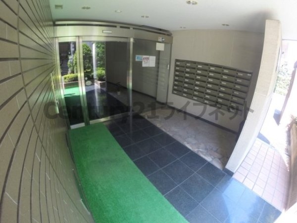 ラディアンス