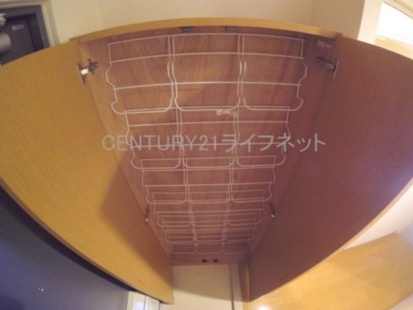 ドムスドイ