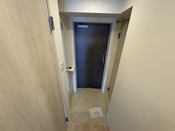 スプランディッド8