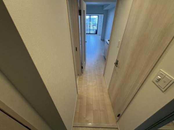 スプランディッド8