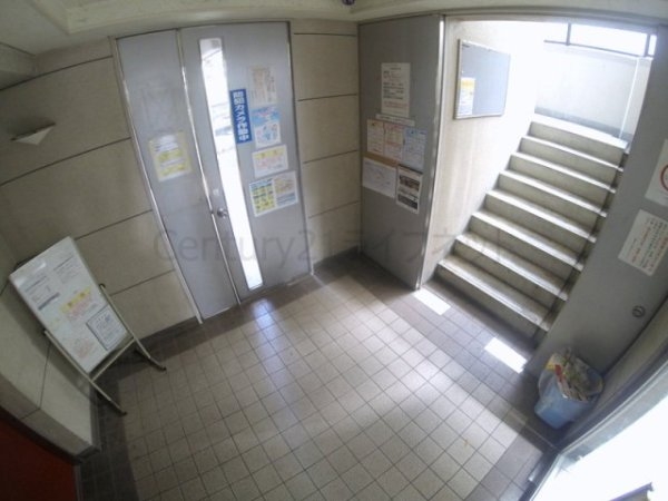 コンフォールエスティオ