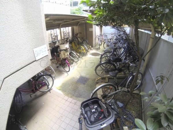 コンフォールエスティオ