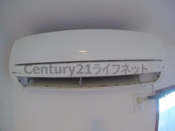 TAI’sCOURTKUNIJIMA