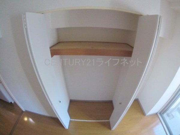 ドムスドイ
