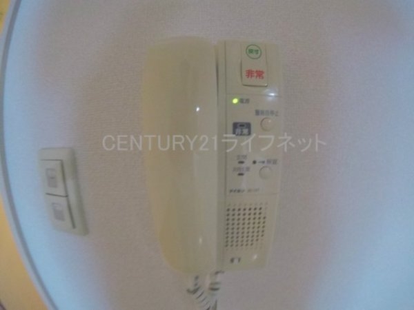 ドムスドイ