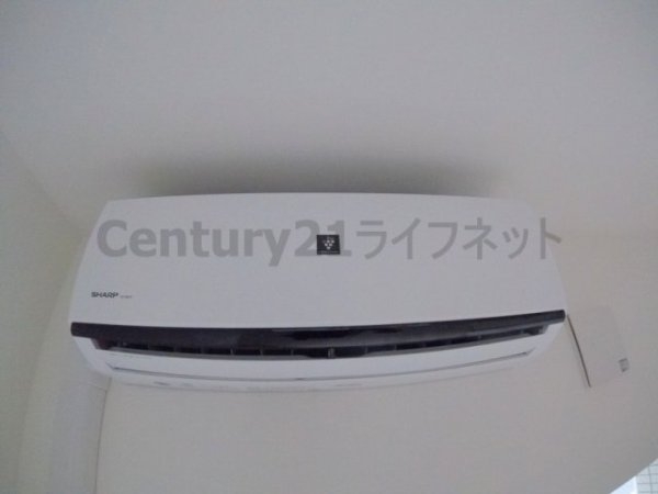 べラルーチェ十三