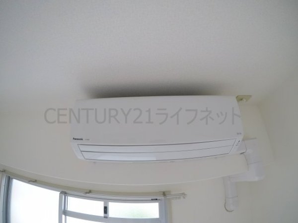 サウスフラット