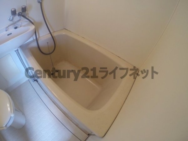 エムエムハイツ