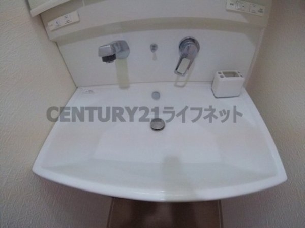 フェニックスコート